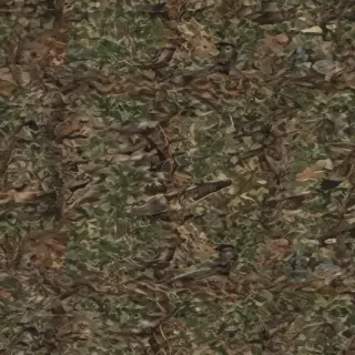 camo png