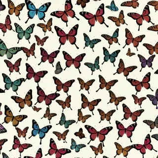 wallpaper butterfly images