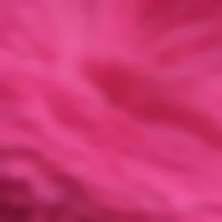 hot pink iphone wallpaper