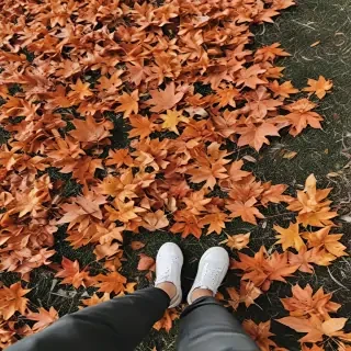 fall leaves aesthetic
