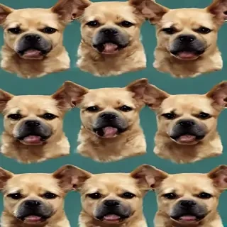 dog background wallpaper