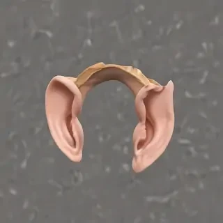 ears png