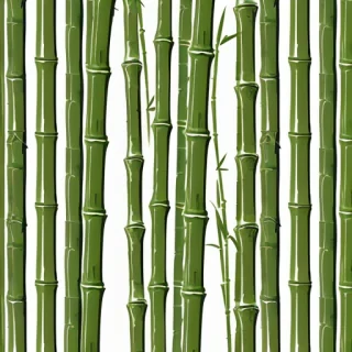 bamboo background