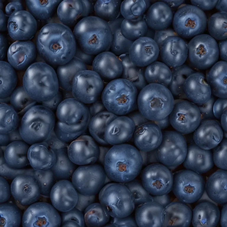blueberry png
