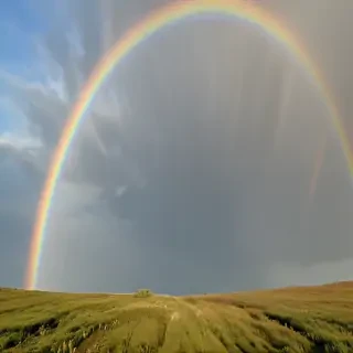 rainbow .png