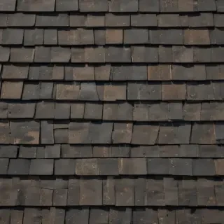 shingles images