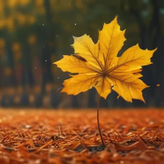 fall iphone background