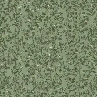 aesthetic sage green