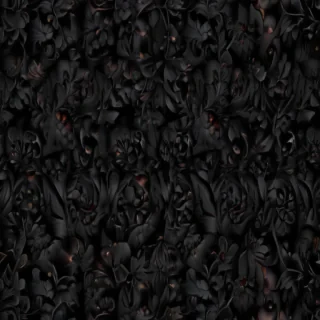 black wallpaper for mobile