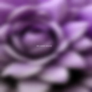 purple flower png