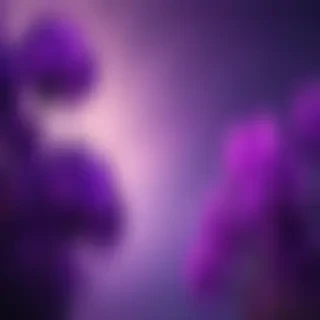 purple aesthetic wallpapers iphone