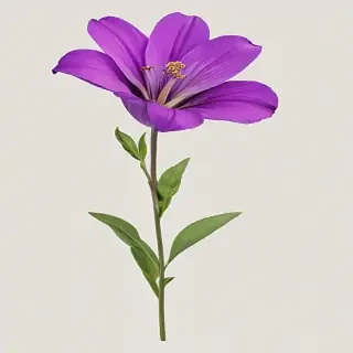 purple flower png