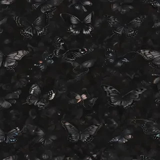 black butterfly wallpaper