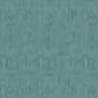 plain teal background