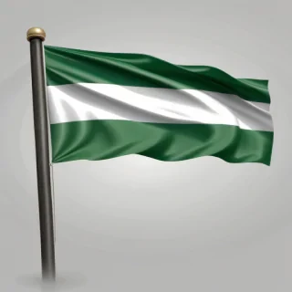 nigerian flag png