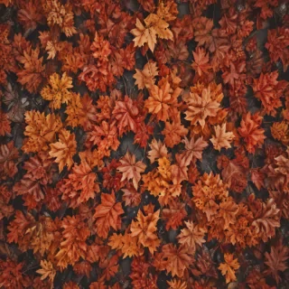 fall aesthetic wallpaper iphone