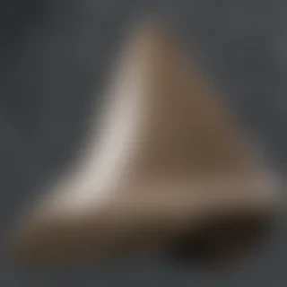 shark fin png