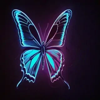 neon butterfly wallpaper
