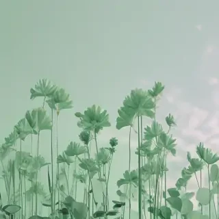 pastel green aesthetic wallpaper