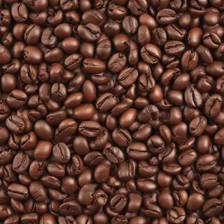coffee bean png