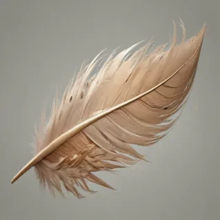 feather png