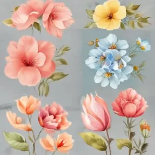 watercolor flowers png