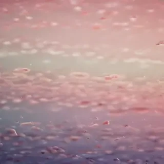 wallpaper hd
