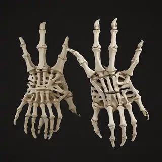 skeleton hands png