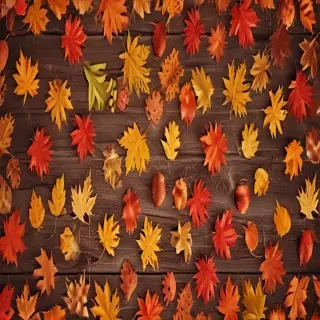 fall wallpaper