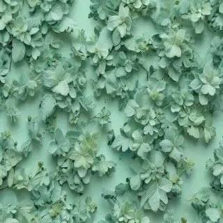 mint green bg