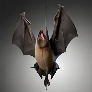 bat png