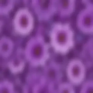 background flower purple