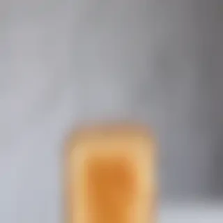 toast png