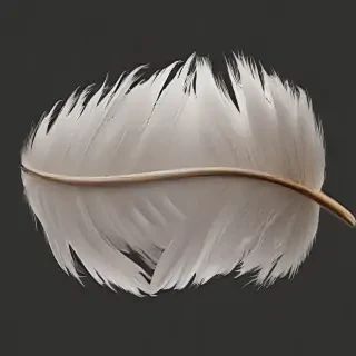 feather png