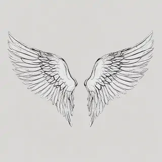 wings transparent