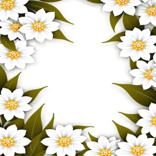 white flower bg
