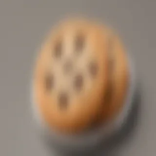 chocolate chip cookie png