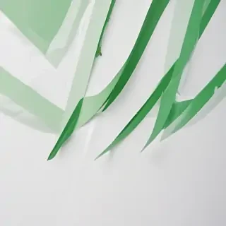 background white and green