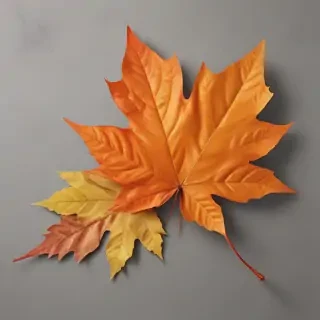 fall leaves png transparent