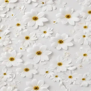 flower background white