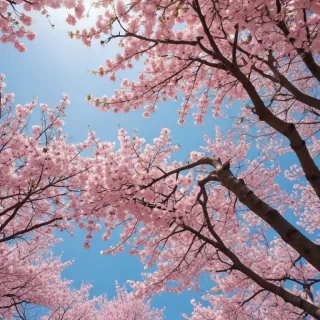 aesthetic spring wallpaper