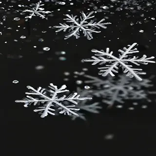snow transparent background