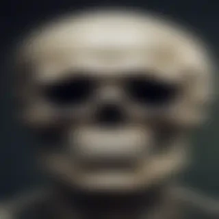 skeleton iphone wallpaper