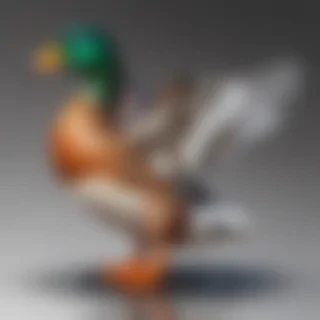 duck clipart