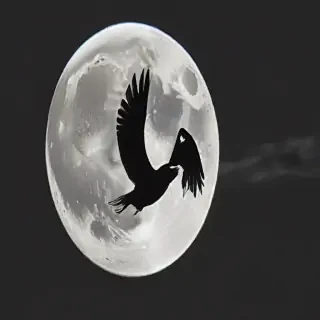moon frawing