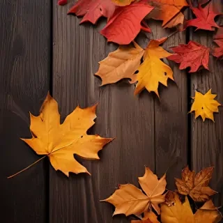 iphone fall wallpaper