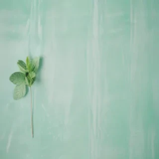 mint green backgrounds