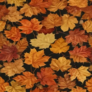fall leaf png
