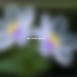 transparent flowers
