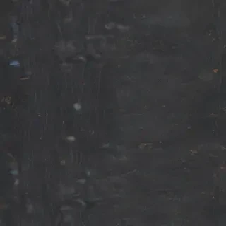 zoom backgrounds